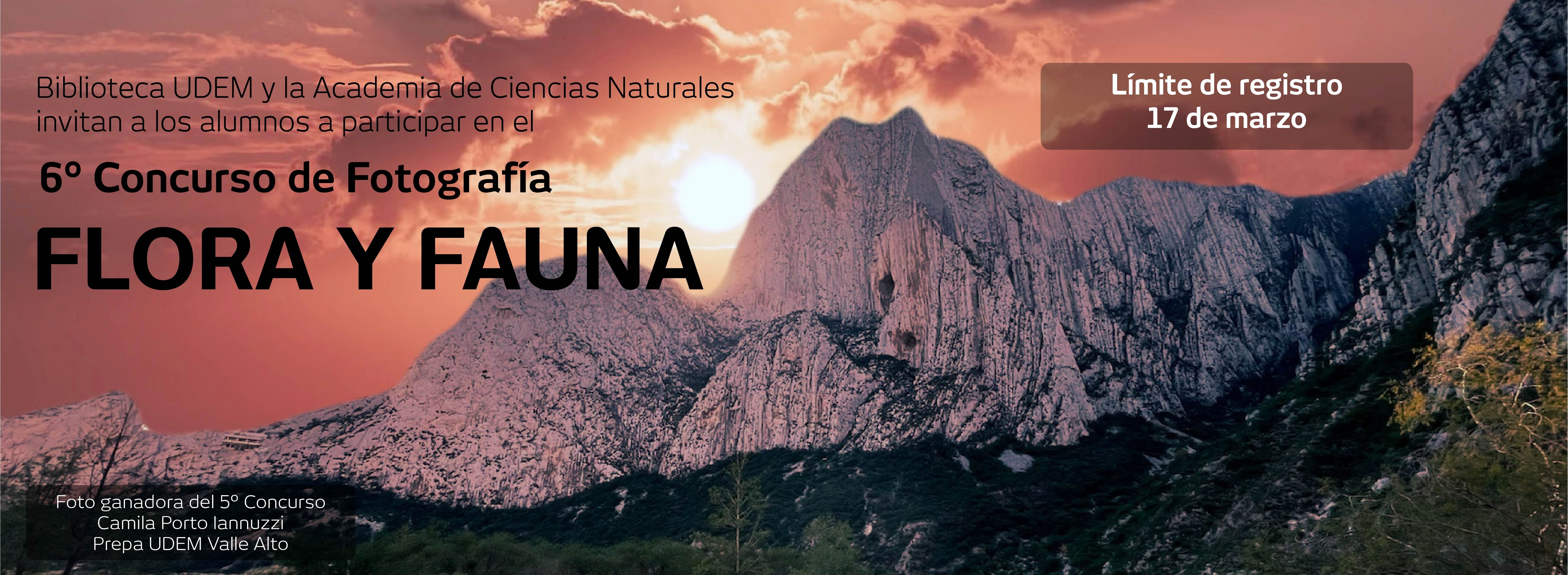 ilustracióncarrusel2026